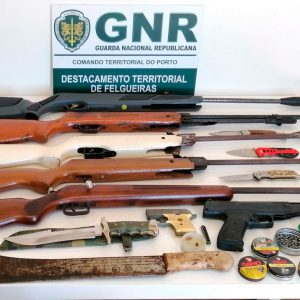 armas gnr 1