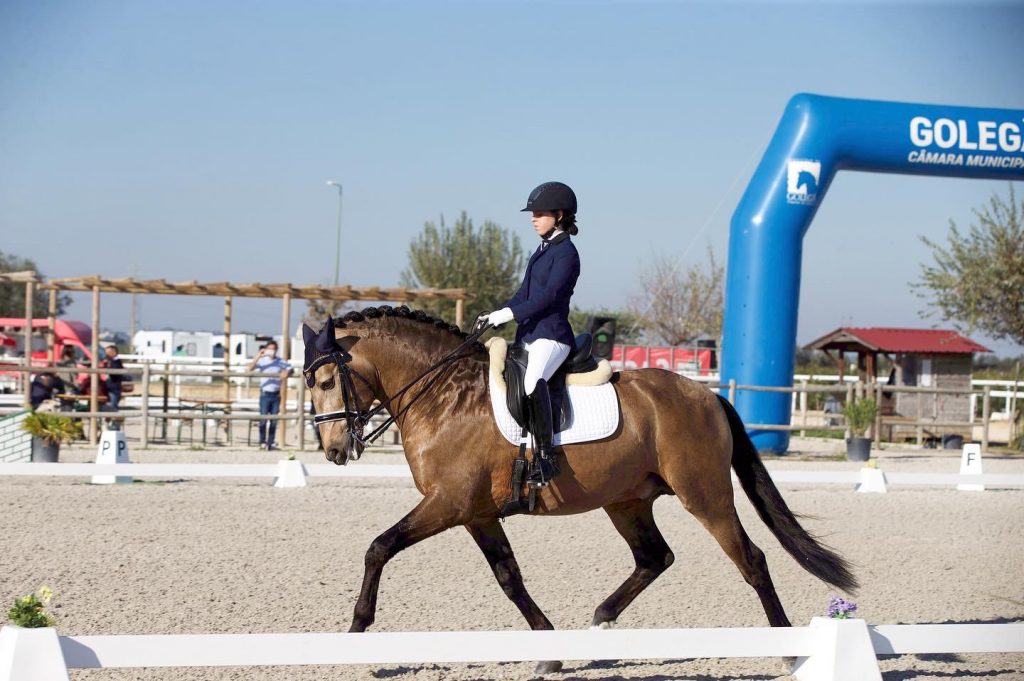 Maria Eduarda Castelo / Dressage