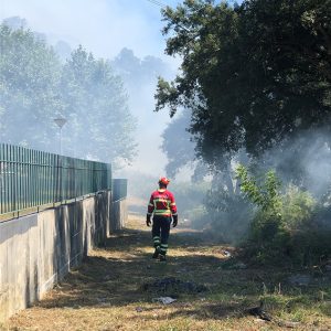 Homem de 35 anos detido por atear quatro incêndios florestais em Penafiel