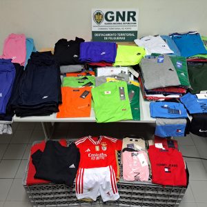 GNR Porto Apreensao1