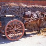 2 Carroca de Macho foto