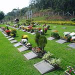 7 Cemiterio jardim da saudades foto